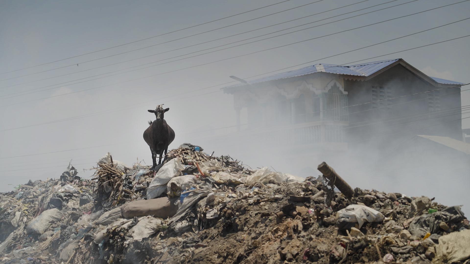 Haiti_8